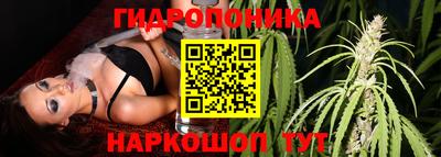 прущие крисы Ирбит