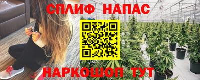 прущие крисы Ирбит