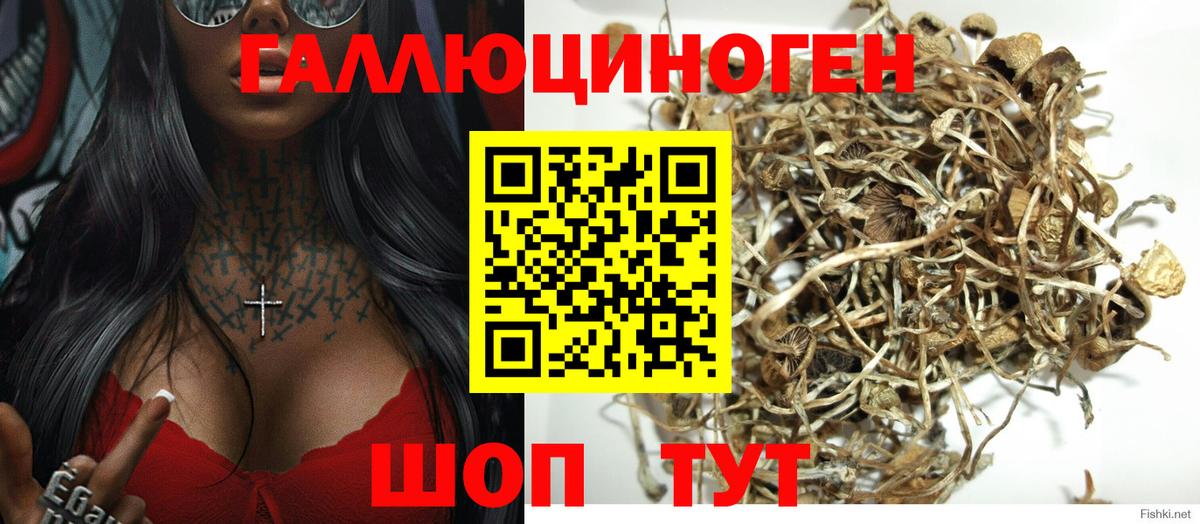 Псилоцибиновые грибы Magic Shrooms  Вход с VPN  Галлюциногенные грибы прущие грибы  Майский 